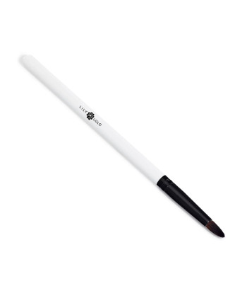 Un regard envoûtant avec la brosse à maquillage pour les yeux Lily Lolo!