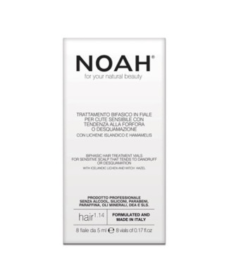 Noah Style: Traitement Bi-Phase pour Cheveux Sensibles