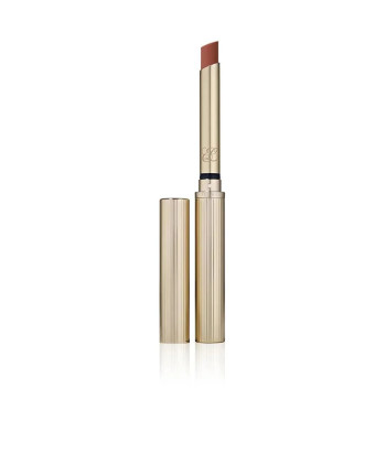 Éclat mat intense pour les lèvres avec Estée Lauder Pure Color Explicit Matte 201-Gone Streaking