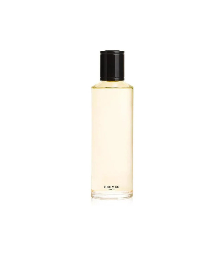Hermès Terre D'hermès Parfum Intense Edp Recarga 200ml