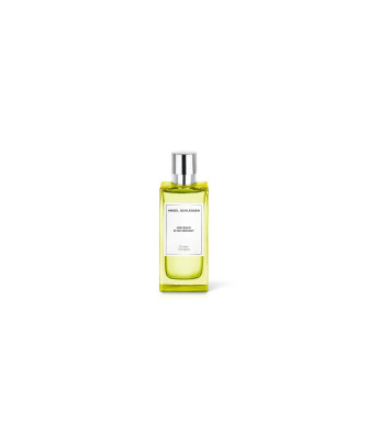 Angel Schlesser Les Eaux D'un Instant Ginger Cologne Edt Spray 100ml