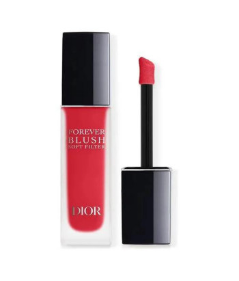 Dior Forever Blush Soft Filter 01