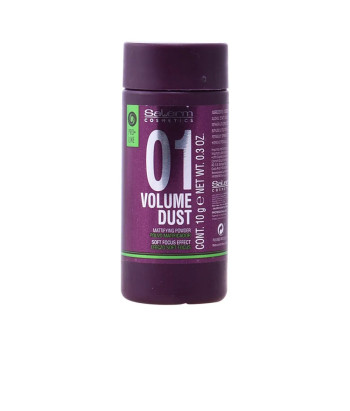 Salerm Cosmetics 01 Volume Dust Matifying Powder 10g