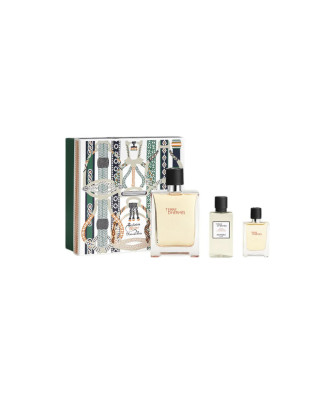 Hermès Hermes Terre Edt Spray 100ml Sets