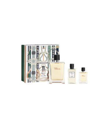 Hermès Hermes Terre Edt Spray 100ml Sets