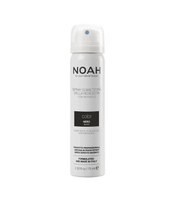 Noah Color Spray Corrector Black 75ml Spray