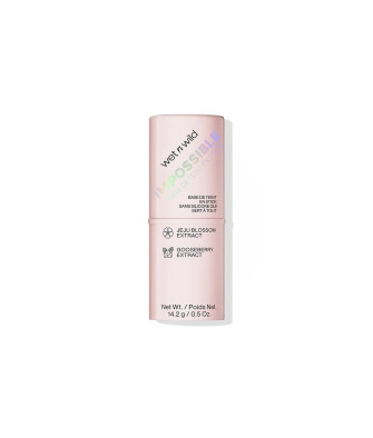 Wet N Wild Wnw Makeup Primer Stick Imposib 1116103e