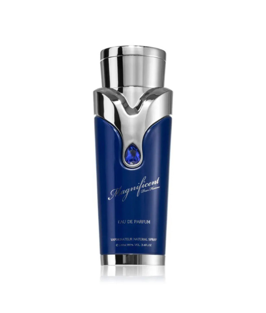 Armaf Magnificent Pour Homme Eau De Parfum 100ml Spray
